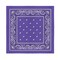 X-Large Cotton Paisley Bandanas 4 Pack 27X27 Inches Double Sided Printed Scarf